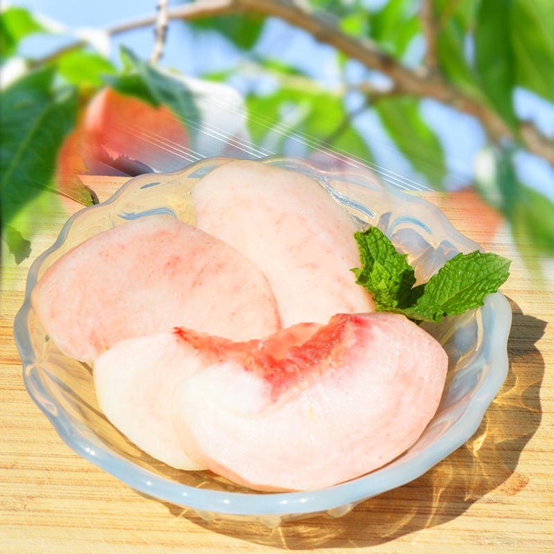 山形の硬い桃 秀品 約5kg (10～16玉) [固い桃] 【令和8年産先行