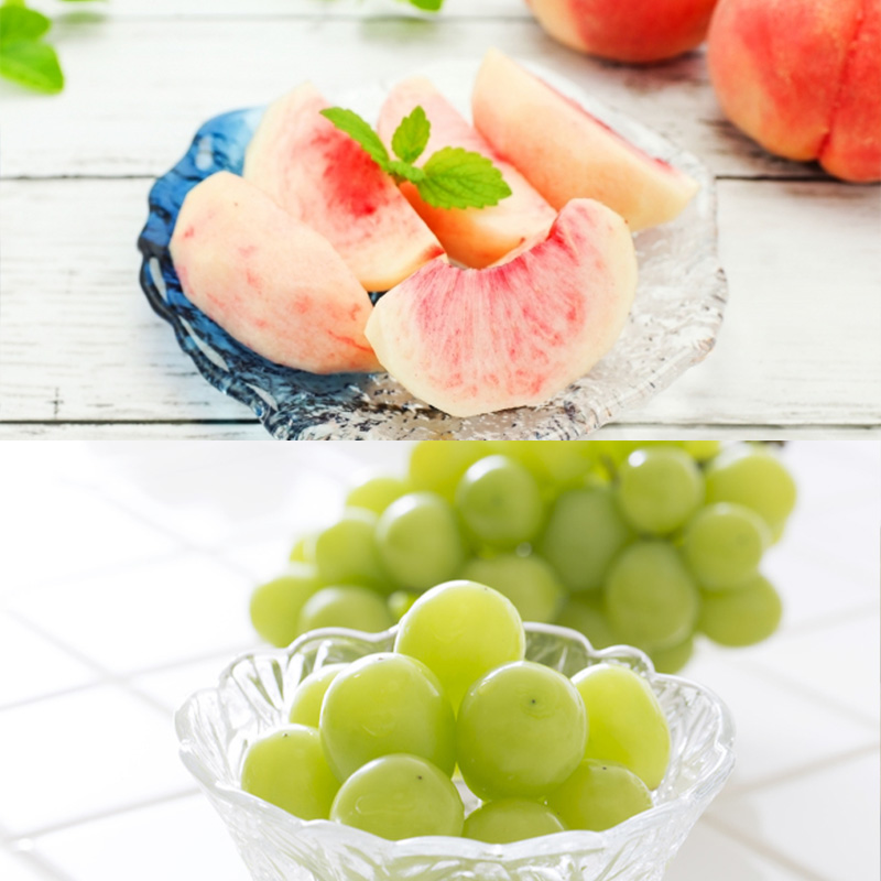 【定期便4回】ほっこり秋冬フルーツ５種便【令和8年産先行