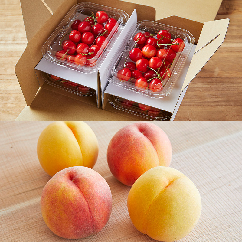 【定期便4回】こだいいっぱい！？ 定期便 【令和8年産先行