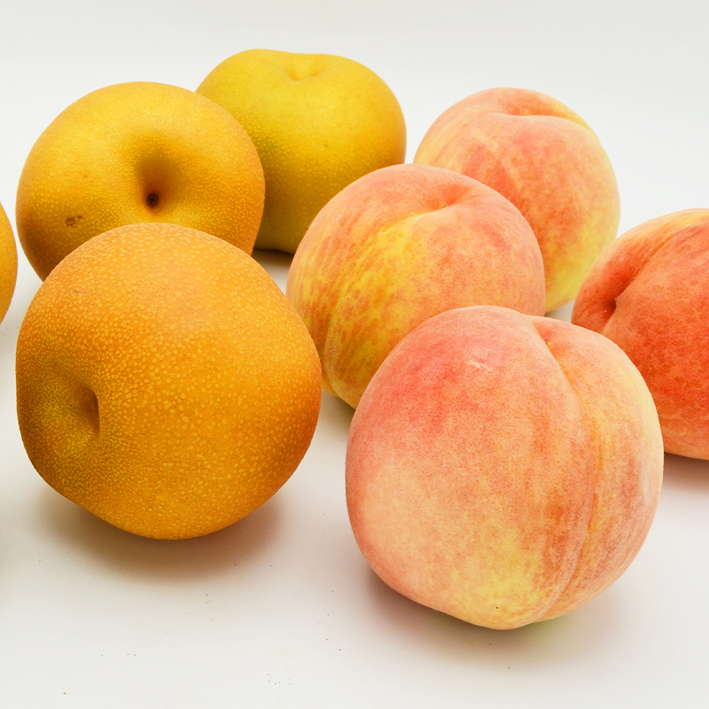 白桃と和梨の詰合せ 秀品 約3kg(6～12玉)【令和8年産先行予約