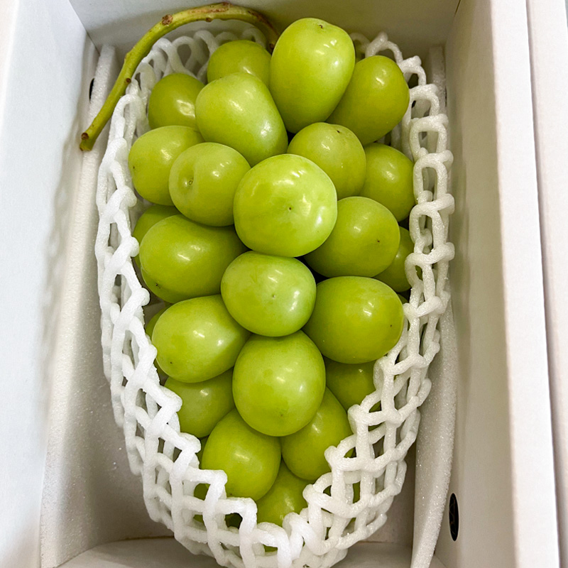 シャインマスカット 約700g 1房 【令和8年産先行予約】 FS25-58