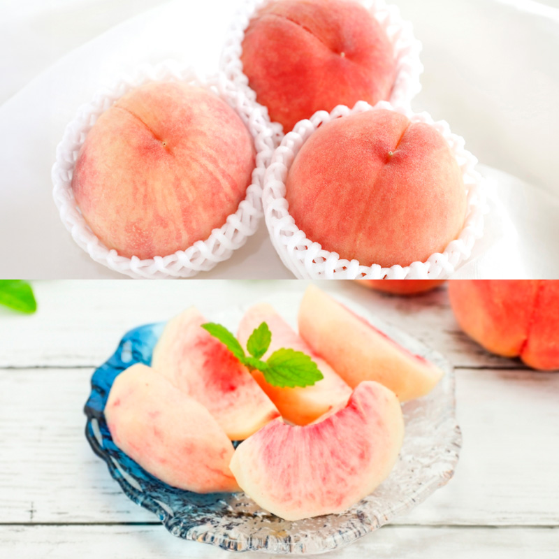 【定期便4回】桃たっぷり便～ぶどうとりんごも～ 【令和8