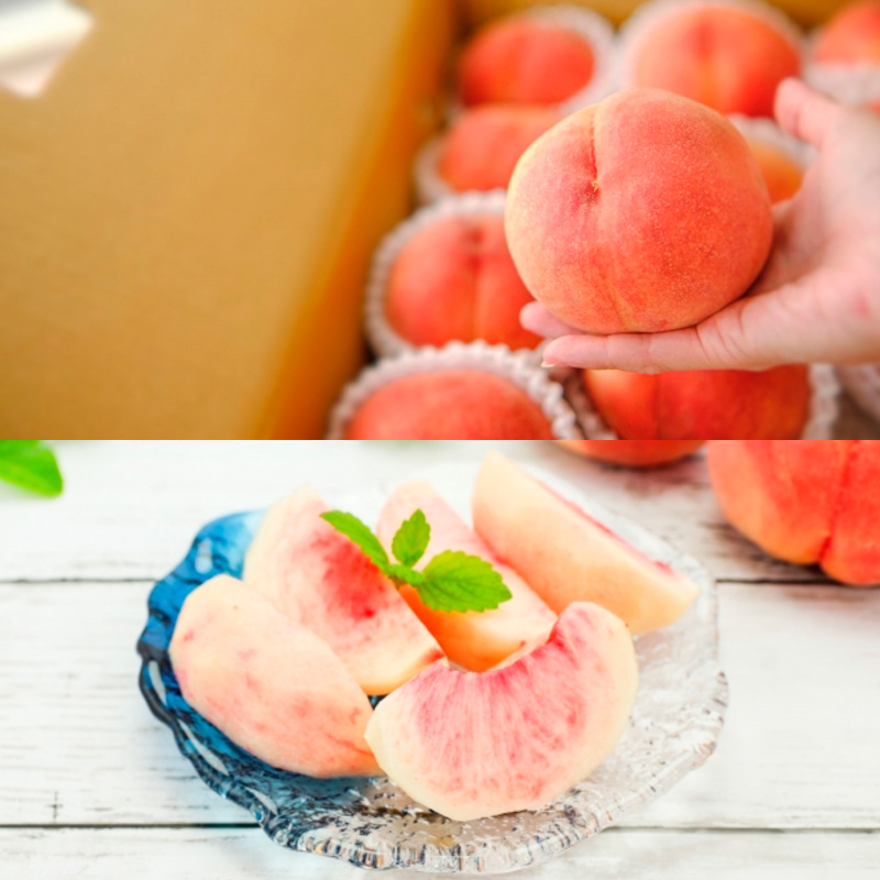 【定期便3回】桃とりんご好きのもりもり便 【令和8年産先