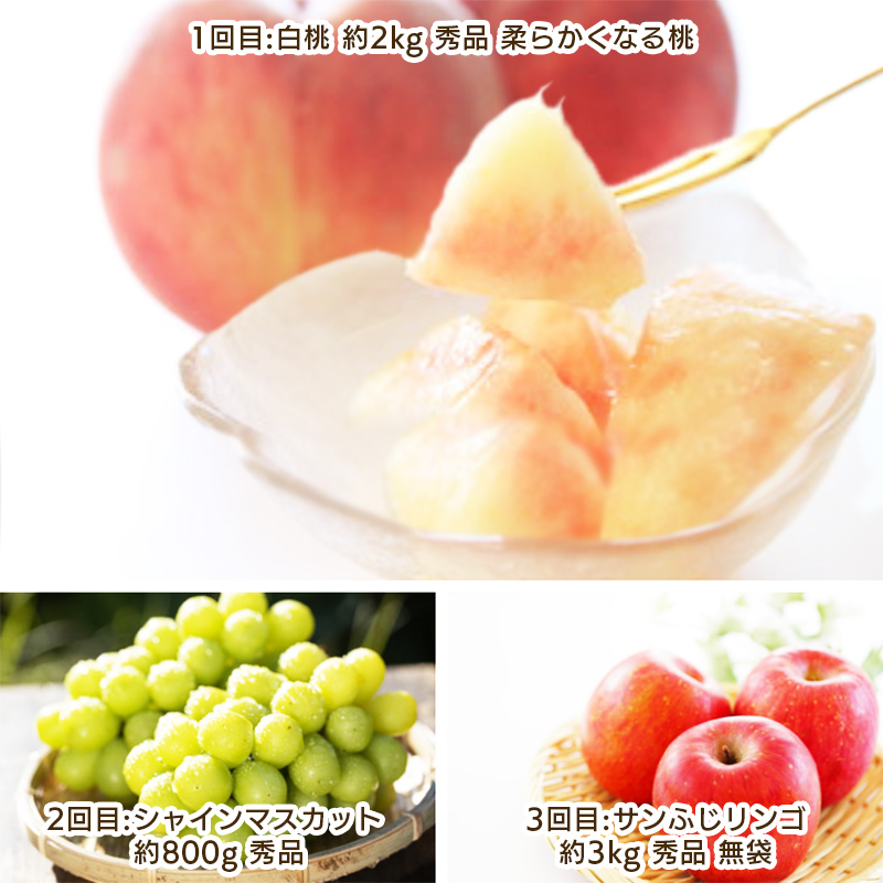 【定期便3回】やまがた こだわりのフルーツ定期便 【令和8