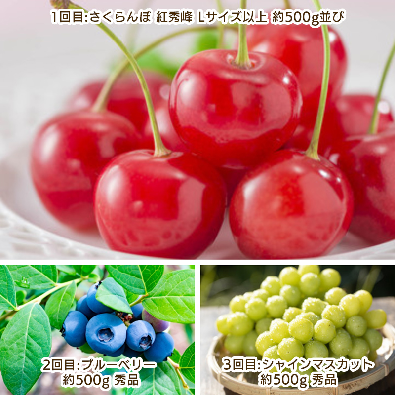 【定期便3回】やまがた 晴天のフルーツ定期便 【令和8年産