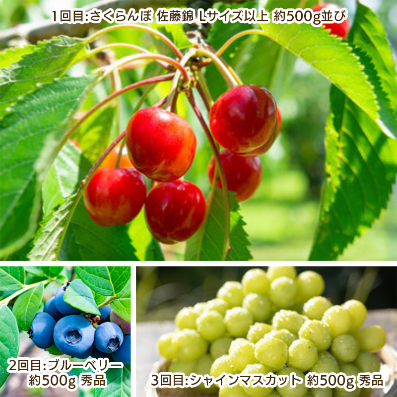 【定期便3回】やまがた　夏霞のフルーツ定期便 【令和8年