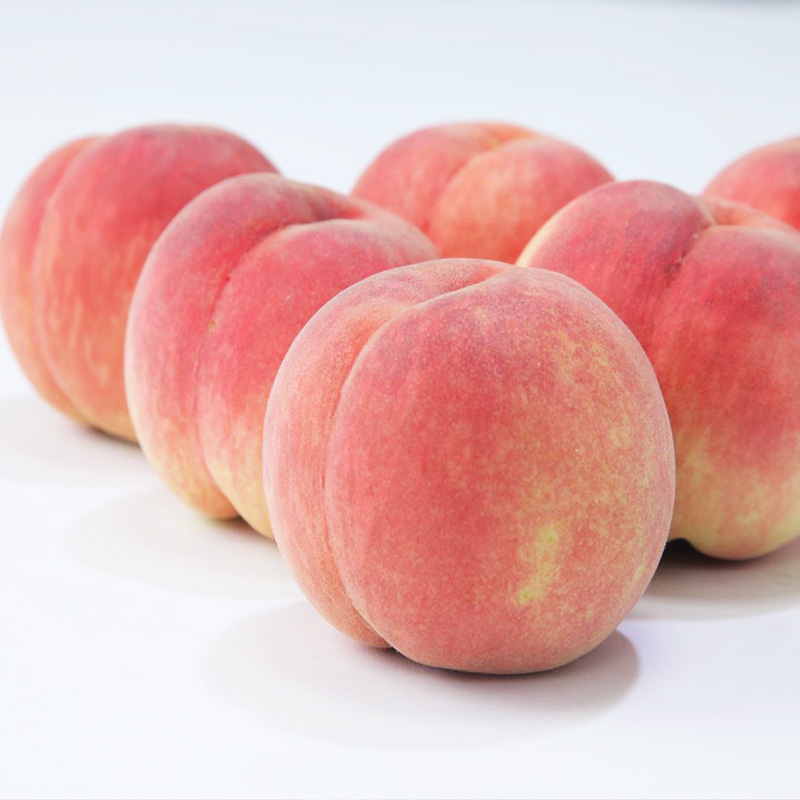 【定期便3回】☆フルーツ王国山形☆白桃・すもも秋姫・り