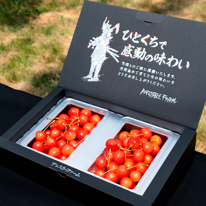 【定期便3回】果物定期便コース(さくらんぼ、シャインマス