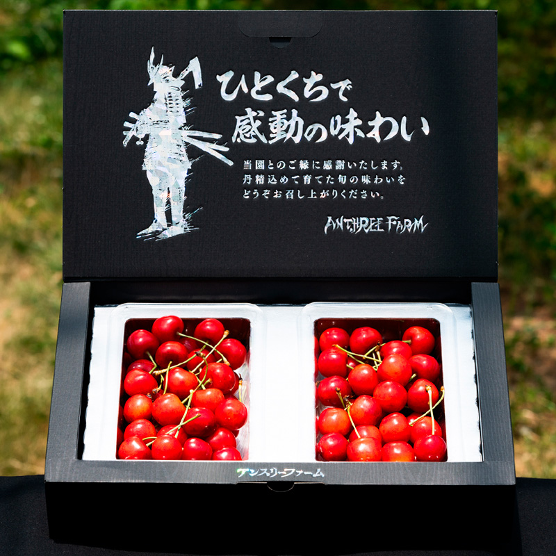さくらんぼ 「紅秀峰」500g 特秀品 2Lサイズ以上 山形産【令