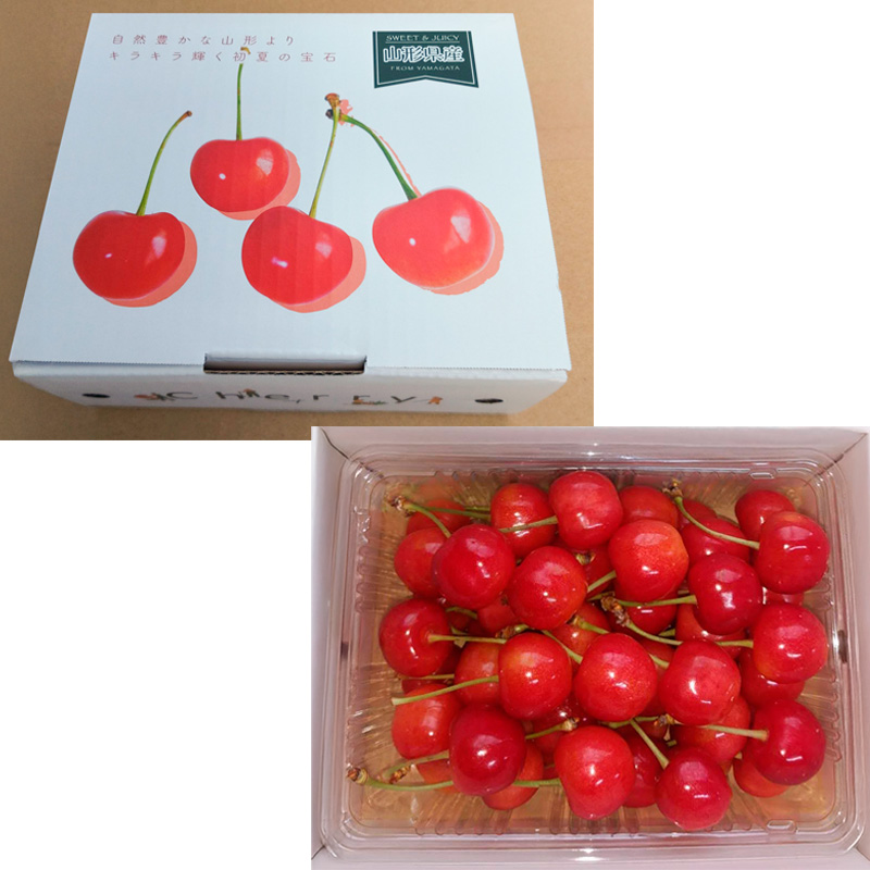さくらんぼ 佐藤錦 500gパック バラ詰め 特秀 L玉以上 FY25-121
