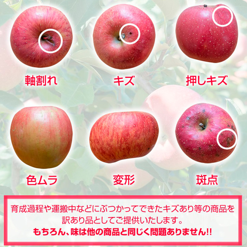【家庭用】山形のりんご サンふじ 約5kg(10～20個) FY25-128