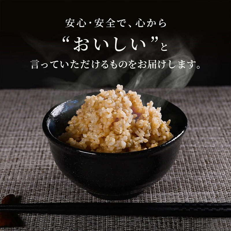 【定期便12回】やまがた玄米パックごはん 150g×9個  (つや姫)