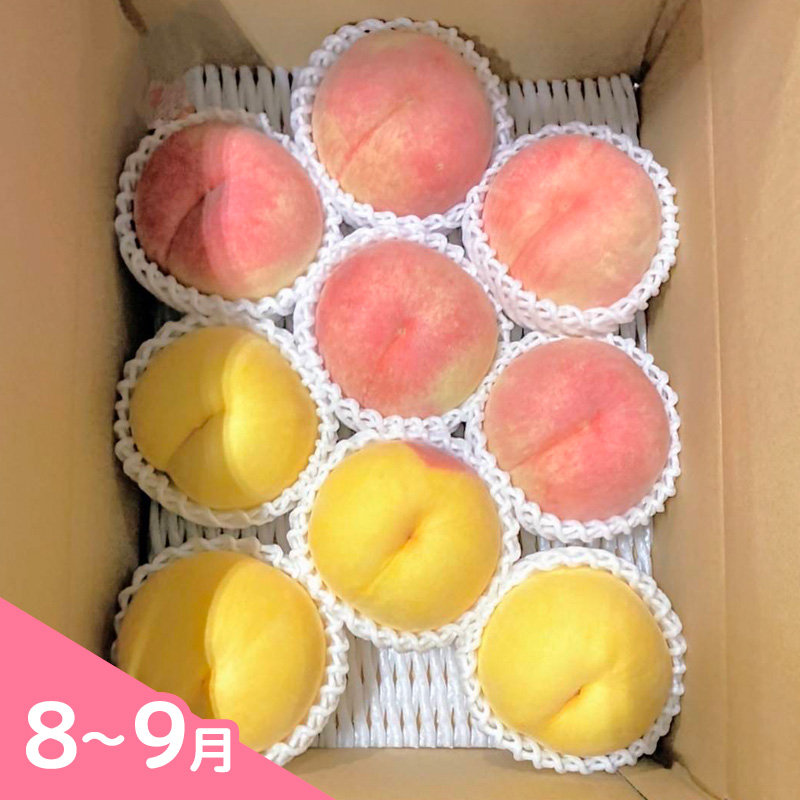 【定期便3回】疲れた身体においしい定期便　～フルーツか