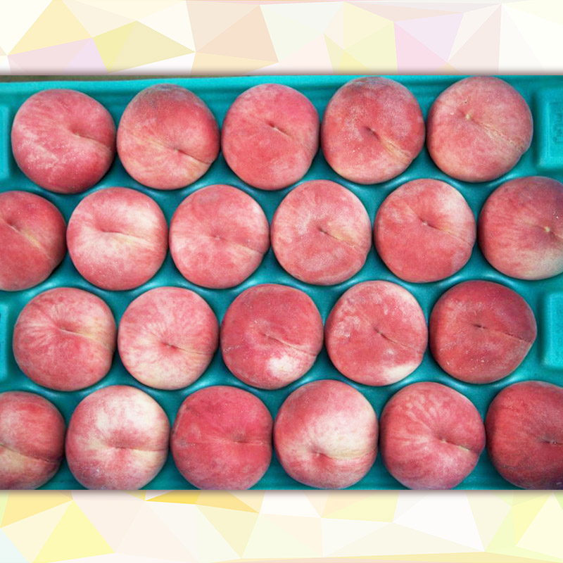 【定期便4回】もも好きのあなたへ ももの増量便 FY25-220