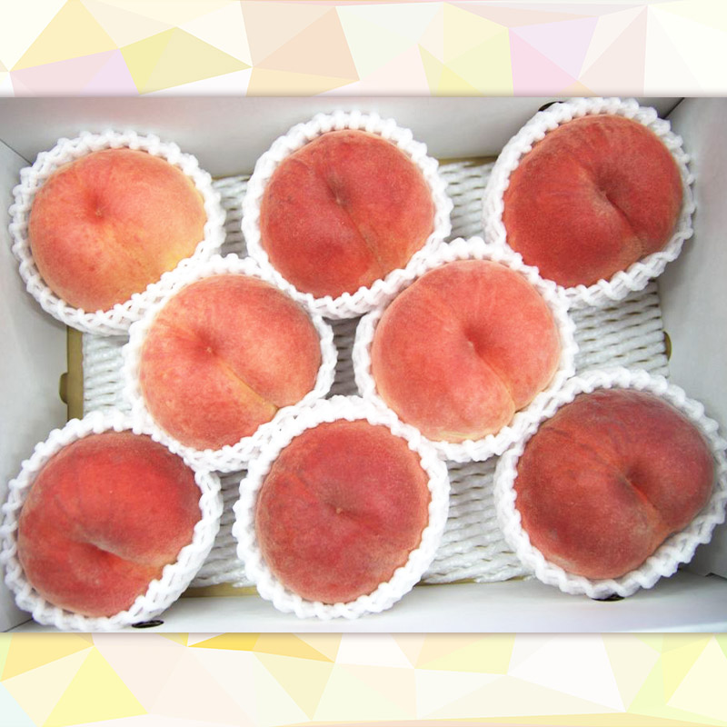 【定期便4回】りんご好きのあなたへ りんご増量便 FY25-221