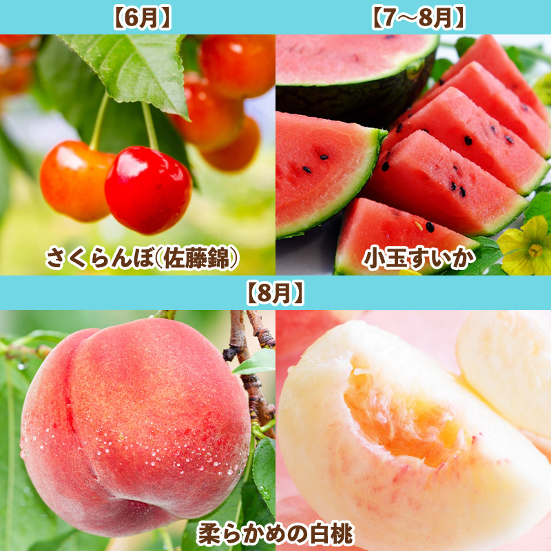 【定期便7回】旬です！YAMAGATA＊FRUIT FY25-285
