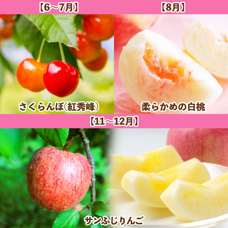 【定期便3回】山形人気果実ベスト３ FY25-286