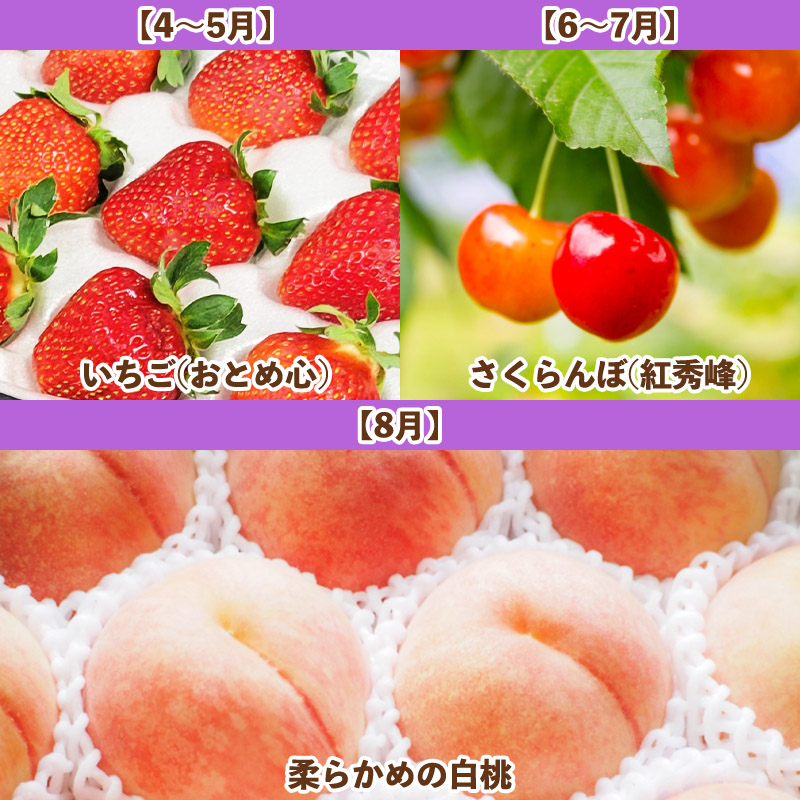 【定期便6回】フルーツBOX -定期便 6回- FY25-287