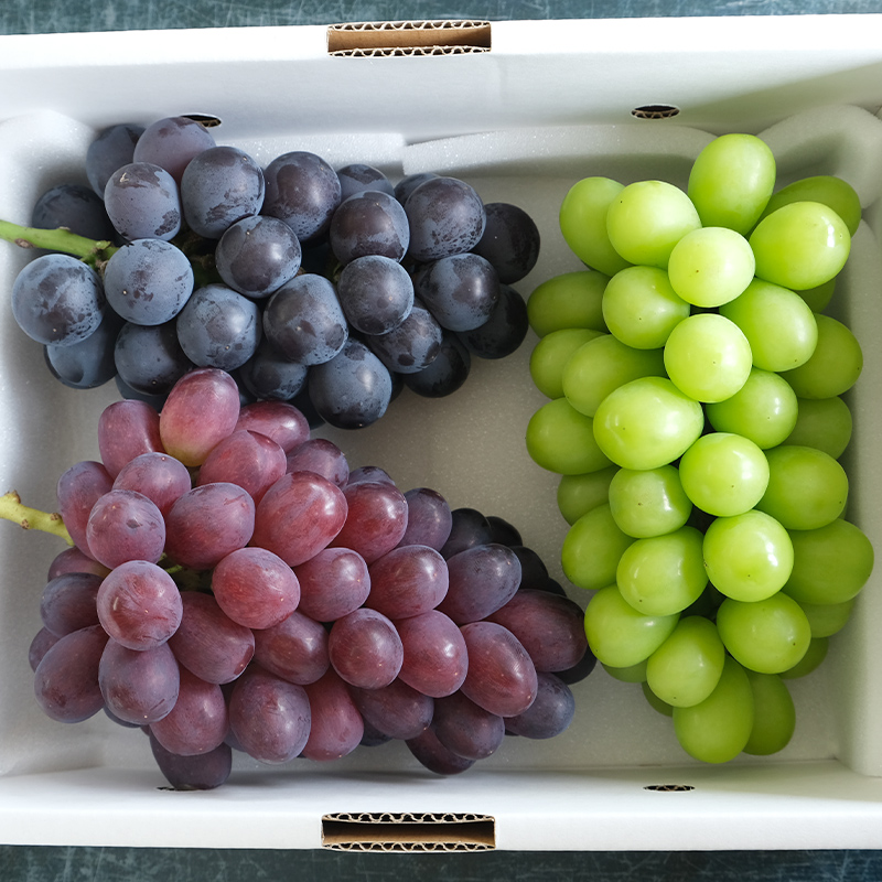 大人気！【こんのぶどう園】山形本沢産 高級ぶどう 3種食
