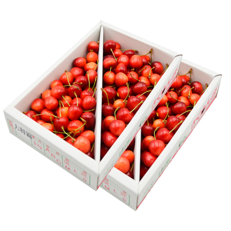 【ご家庭みんなで楽しめる！2kg】山形のさくらんぼ 大将錦 