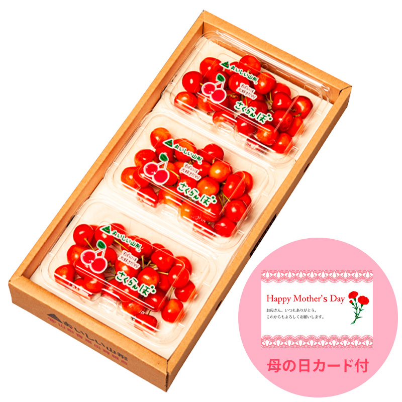 一足先にお届け！【母の日】さくらんぼ佐藤錦540gLサイズ以