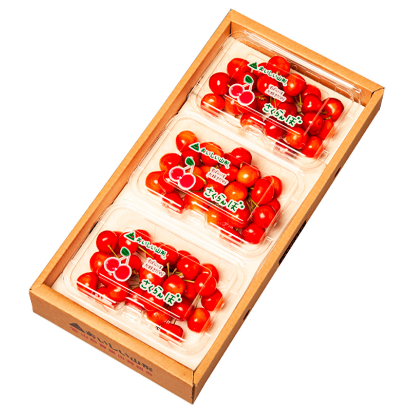 山形のさくらんぼ 紅てまり 540g Lサイズ以上 (180g×3パック) 