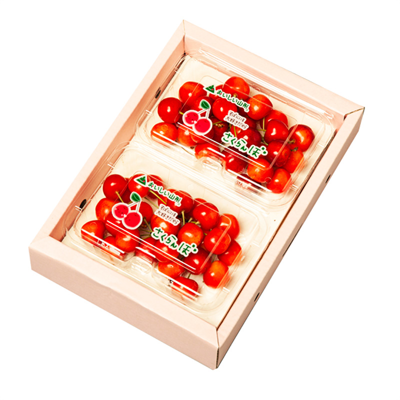 山形のさくらんぼ 佐藤錦 360g Lサイズ以上 (180g×2パック) 【