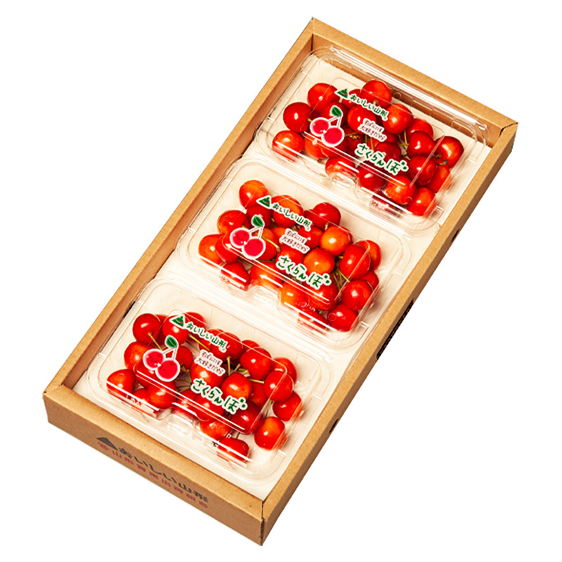 山形のさくらんぼ 佐藤錦 540g Lサイズ以上 (180g×3パック) 【