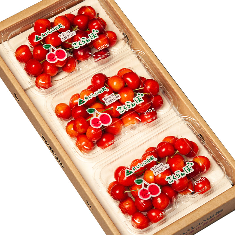 山形市産 さくらんぼ(佐藤錦)Ｌ 540g(180ｇ×3) 【令和8年産先