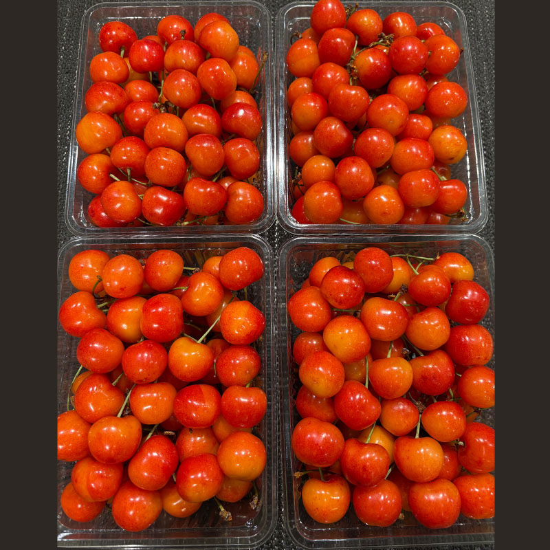 ご家庭みんなで楽しむ2kg！さくらんぼ 佐藤錦 Lサイズ 2kg (50