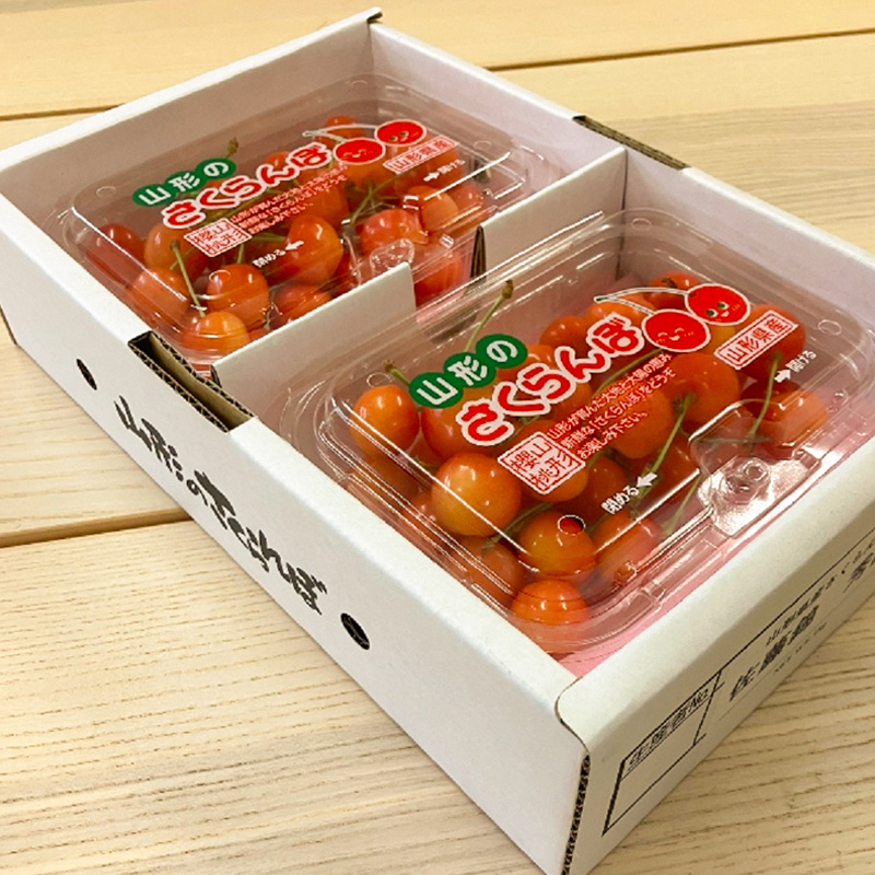 山形市産さくらんぼ【佐藤錦】Lサイズ 400g(200g×2パック) 【