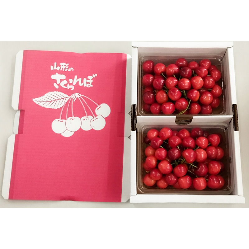 山形市産さくらんぼ【佐藤錦】Lサイズ 700g バラ詰め【令和8