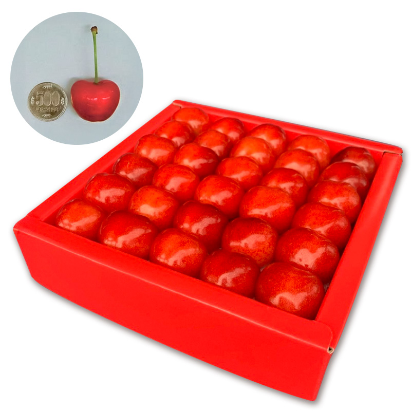 山形市産さくらんぼ「やまがた紅王プレミアム」 約350g 特