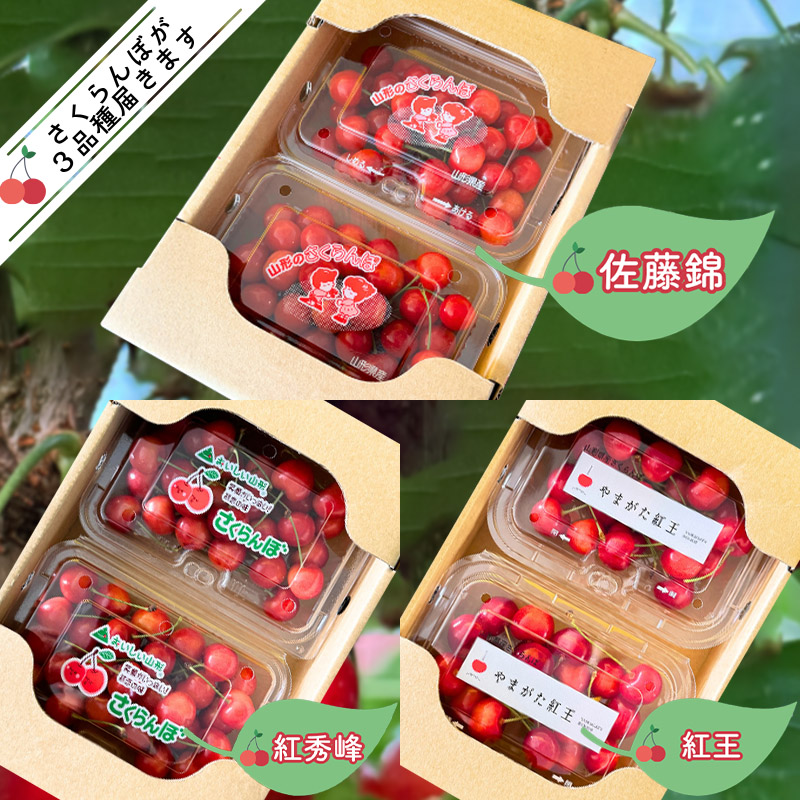 【定期便3回】さくらんぼ味くらべ 山形が誇る3種のさくら