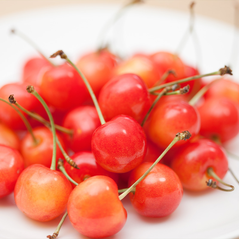 さくらんぼ(佐藤錦) Lサイズ 720g(180g×4パック) 【令和8年産先