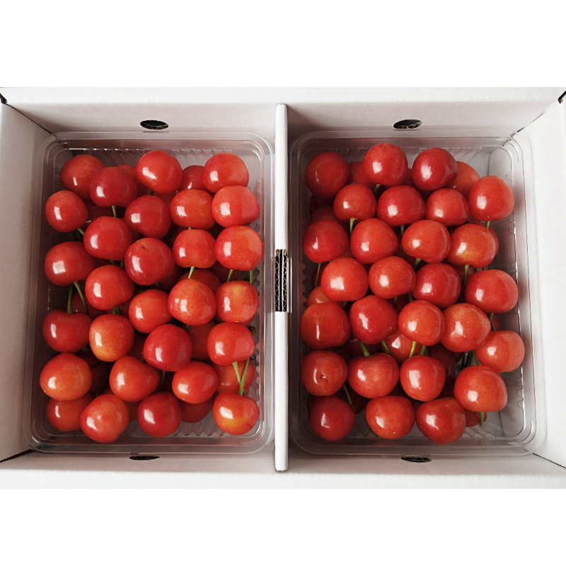 山形市産 さくらんぼ【紅秀峰】2Lサイズ 約700g  【令和8年産