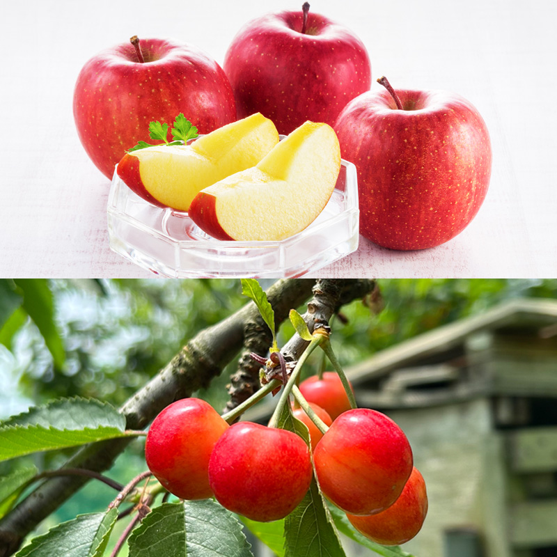 【定期便4回】☆フルーツ王国山形☆『紅秀峰、白桃、すも