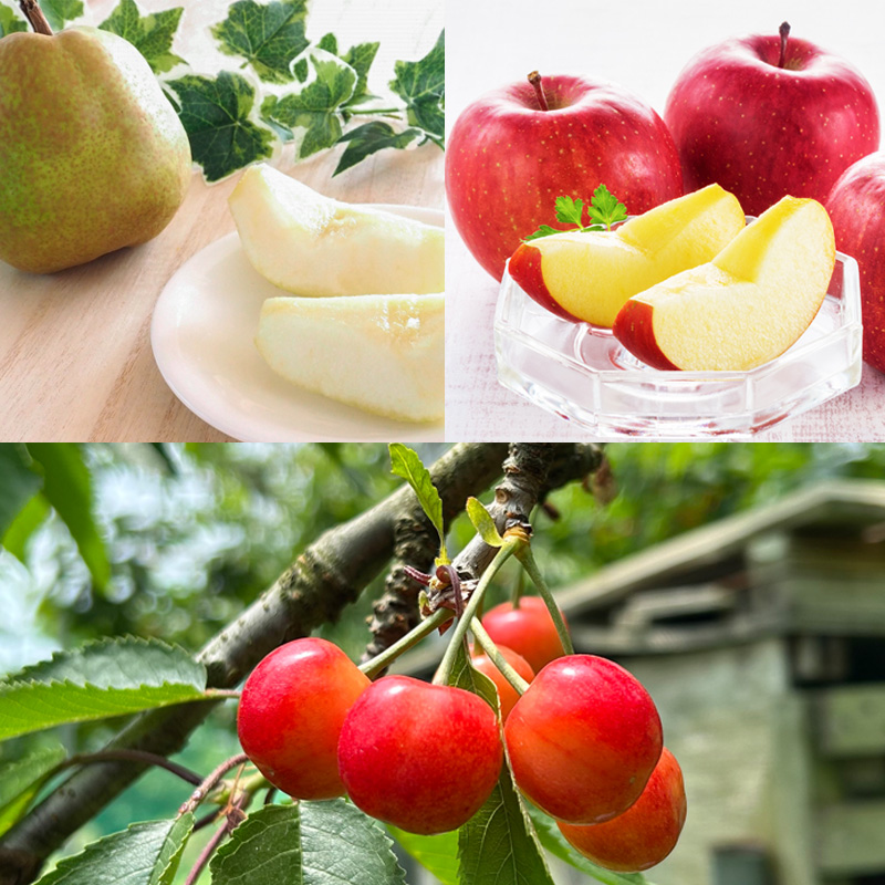 【定期便5回】☆フルーツ王国山形☆『佐藤錦、白桃、すも