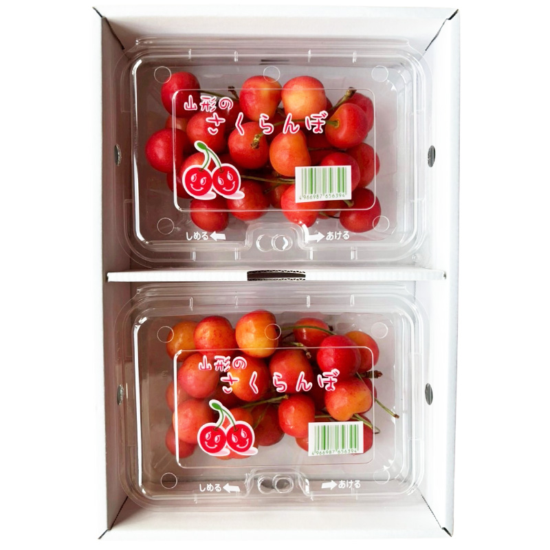 【定期便5回】ノノハナフルーツ 笑顔はなまる食べ切り便  F