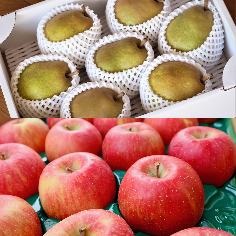 【定期便5回】産地直送 山形フルーツ定期便 人気のベスト5 