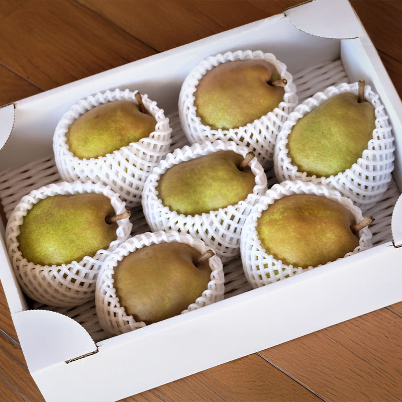 【定期便4回】産地直送便 山形人気のフルーツベスト4 FY25-33