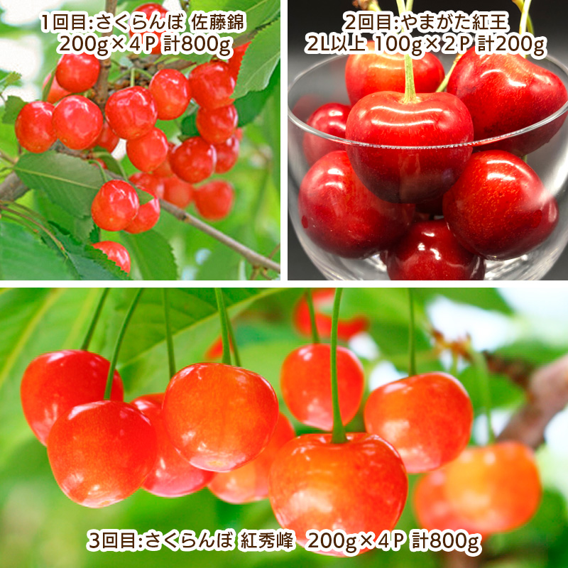 【定期便3回】さくらんぼ堪能定期便【令和8年産先行予約】