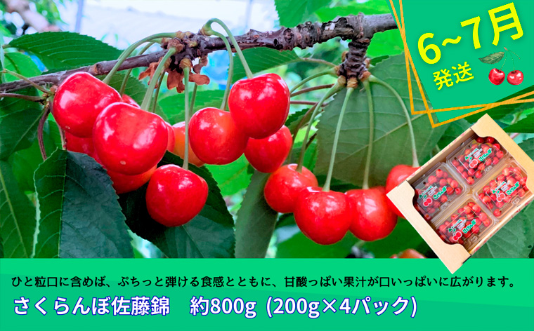 【定期便3回】やまがたフルーツ定期便”蔵王”山形名物フ