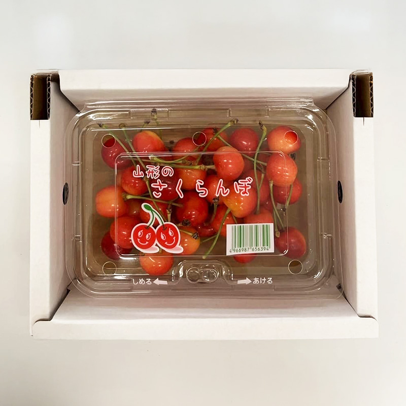 山形さくらんぼ (祝)栽培150周年記念！佐藤錦 200g L玉 数量限