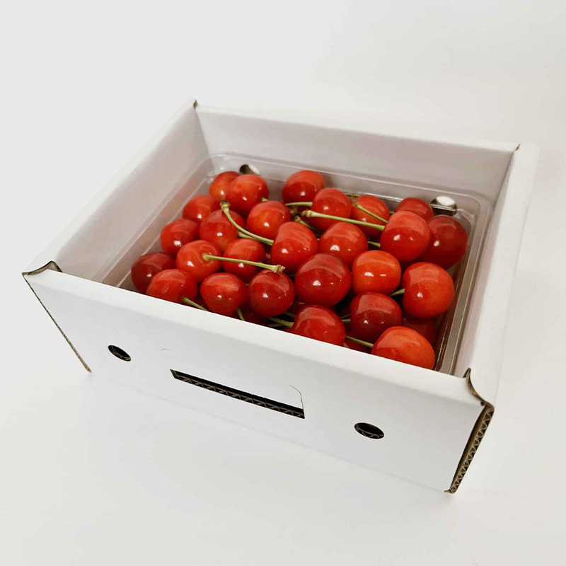 山形さくらんぼ (祝)栽培150周年記念！佐藤錦 500g L玉 数量限