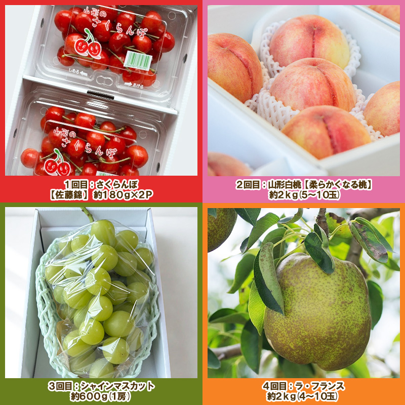 【定期便4回】ノノハナフルーツ 山形人気のフルーツ 食べ