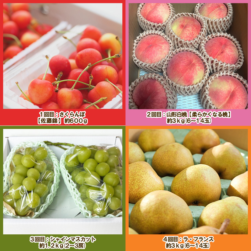 【定期便4回】ノノハナフルーツ 山形人気のフルーツ直送便