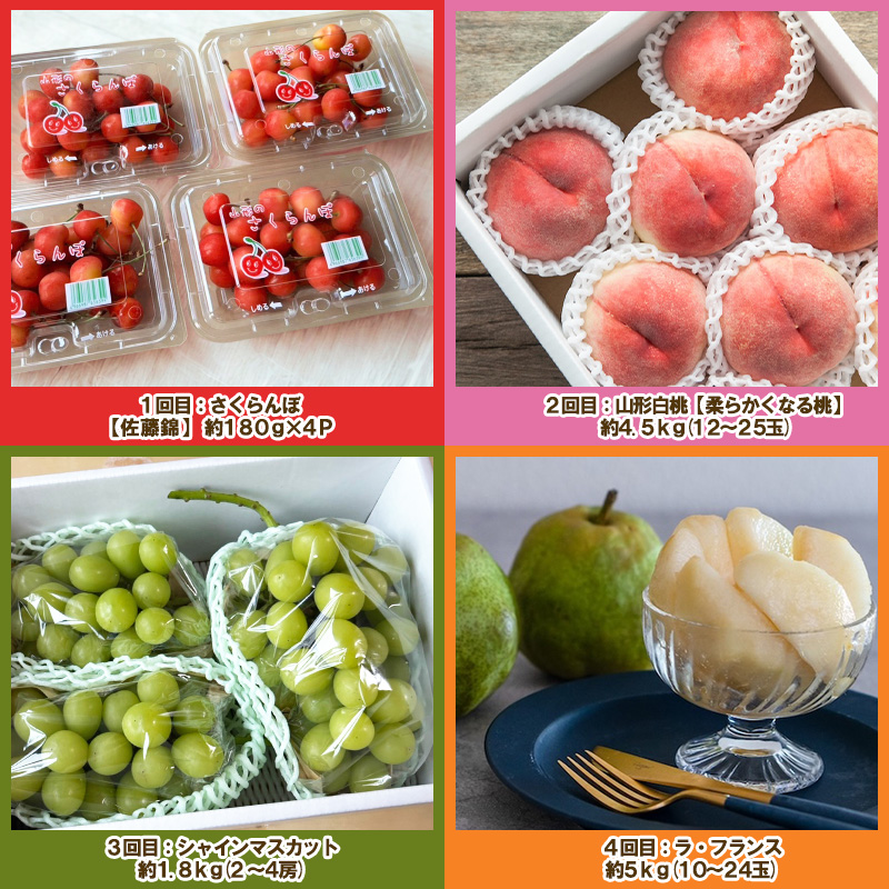 【定期便４回】ノノハナフルーツ 山形人気のフルーツ たっ