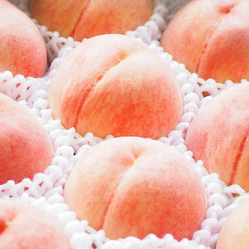 山形自慢の桃 【あかつき】 約2kg【令和8年産先行予約】FS25-