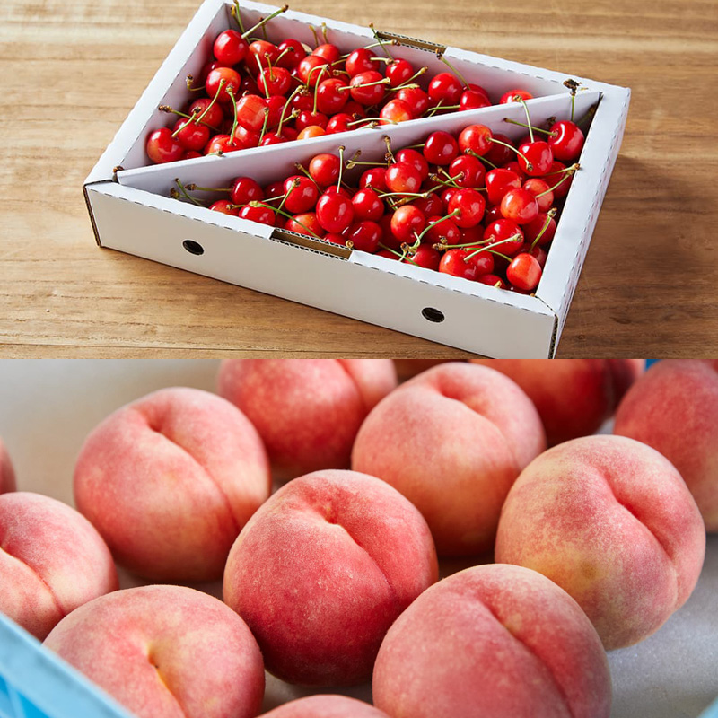 【定期便5回】毎月届く！果物王国山形のフルーツ 【令和8